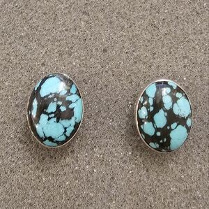 Turquoise and Black Oval Stud Earrings